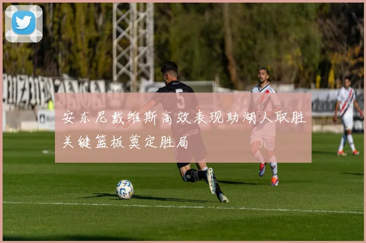 安东尼戴维斯高效表现助湖人取胜关键篮板奠定胜局