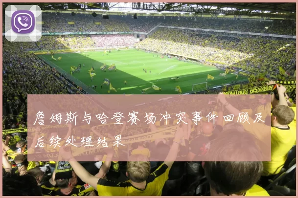詹姆斯与哈登赛场冲突事件回顾及后续处理结果