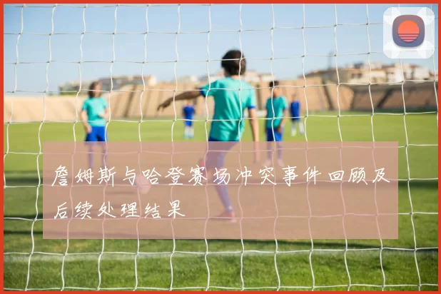 詹姆斯与哈登赛场冲突事件回顾及后续处理结果
