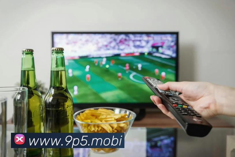 pg娱乐电子游戏平台下载入口(中国)网页版入口APP 封面图